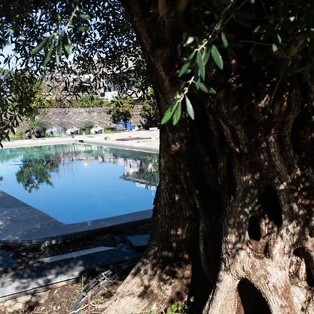 Sorrentobay Hotel Sant'Agnello Ngoại thất bức ảnh